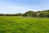 0 Highway 12 - Photo 16