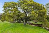 0 Highway 12 - Photo 26