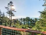 1101 Cameron Road - Photo 37