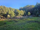 27651 Skyview Road - Photo 4
