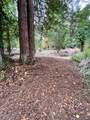 136 Lagunitas Road - Photo 1