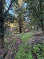 136 Lagunitas Road - Photo 5