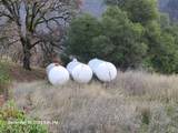 40100 Mendocino Pass Road - Photo 23