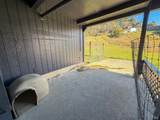 27310 Oriole Drive - Photo 10