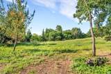 1100 Lytton Springs Road - Photo 6