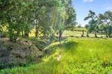 1100 Lytton Springs Road - Photo 7
