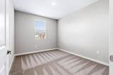 3230 Dillion Way - Photo 13