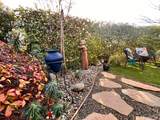 455 Mallards Gulch Drive - Photo 45