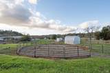 1840 Riebli Road - Photo 61