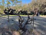 3680 Calistoga Road - Photo 28