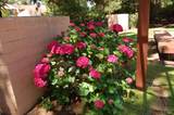1118 Marina Drive - Photo 43