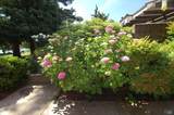 1118 Marina Drive - Photo 44
