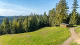 13600 Docker Hill Road - Photo 29