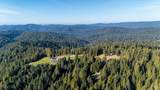 13600 Docker Hill Road - Photo 3