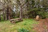 15741 Forest View Road - Photo 22