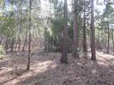 3 Acres Woodridge Drive - Photo 10
