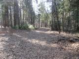 3 Acres Woodridge Drive - Photo 11