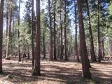 3 Acres Woodridge Drive - Photo 13