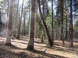 3 Acres Woodridge Drive - Photo 14