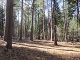 3 Acres Woodridge Drive - Photo 15