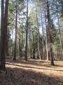 3 Acres Woodridge Drive - Photo 16