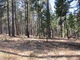 3 Acres Woodridge Drive - Photo 17