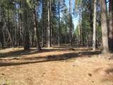 3 Acres Woodridge Drive - Photo 18