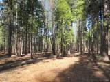3 Acres Woodridge Drive - Photo 19
