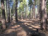 3 Acres Woodridge Drive - Photo 5