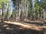 3 Acres Woodridge Drive - Photo 6