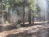 3 Acres Woodridge Drive - Photo 8