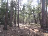 3 Acres Woodridge Drive - Photo 9