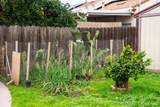 6 Fargo Street - Photo 31
