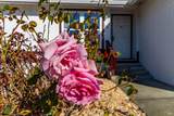 2555 Flosden Road - Photo 8