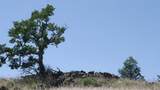 0 Pope Canyon Road - Photo 29
