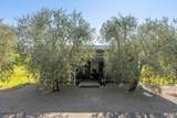 1135 Soda Canyon Road - Photo 93