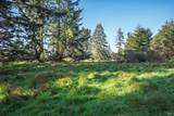 36231 Timber Ridge Road - Photo 1