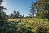 36231 Timber Ridge Road - Photo 5
