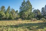 36231 Timber Ridge Road - Photo 6