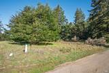 36231 Timber Ridge Road - Photo 7