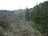 4225 Reeves Canyon Road - Photo 11