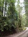 4225 Reeves Canyon Road - Photo 12