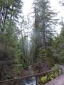 4225 Reeves Canyon Road - Photo 14