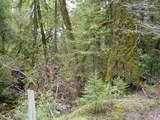 4225 Reeves Canyon Road - Photo 15