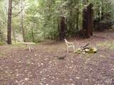 4225 Reeves Canyon Road - Photo 5