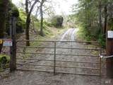 4225 Reeves Canyon Road - Photo 7
