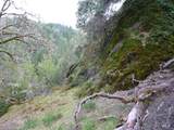 4225 Reeves Canyon Road - Photo 8