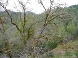 4225 Reeves Canyon Road - Photo 9