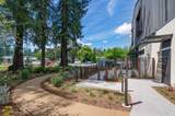 164 Healdsburg Avenue - Photo 11