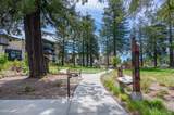 164 Healdsburg Avenue - Photo 12